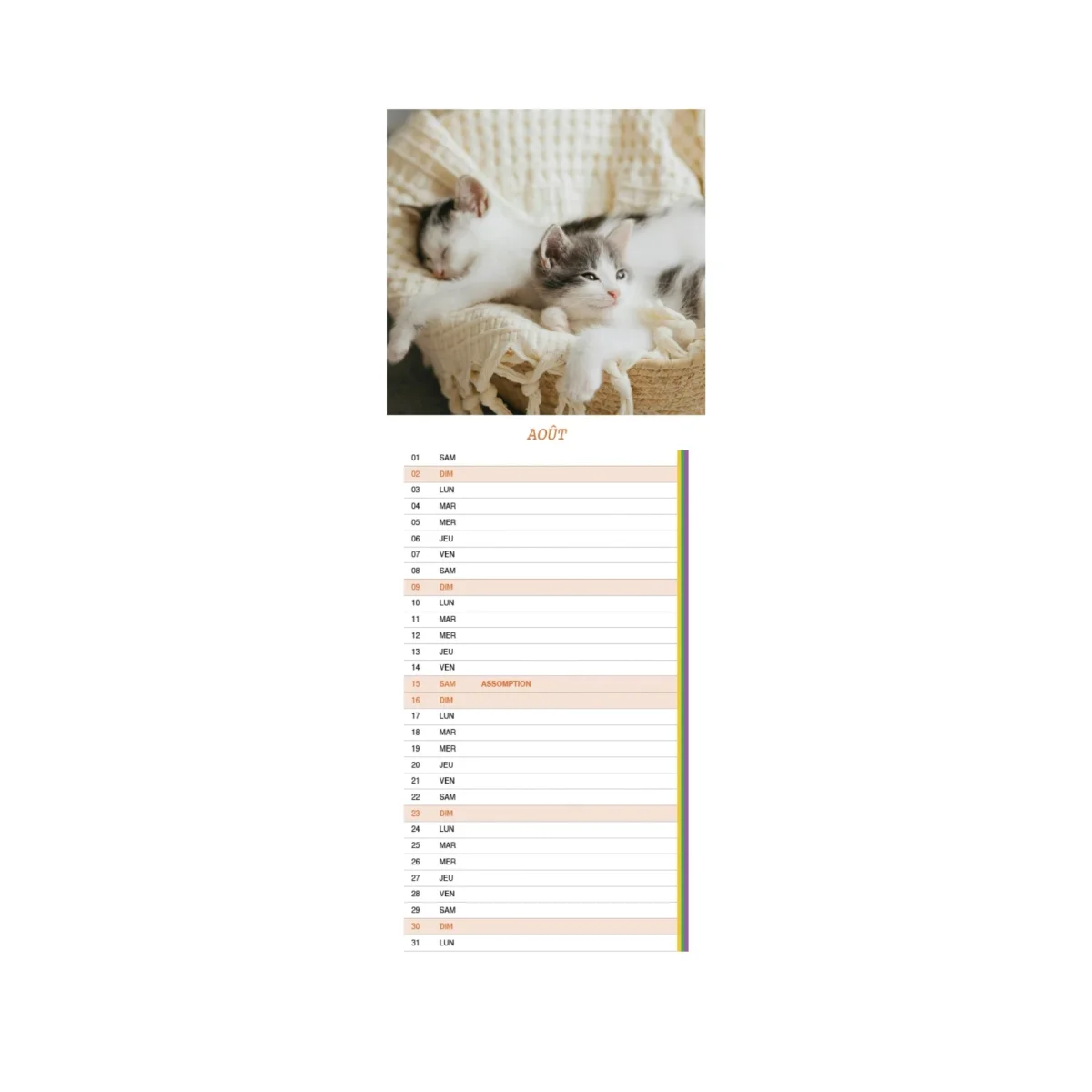 Calendrier long « Chatons » – 2026 – Image 4
