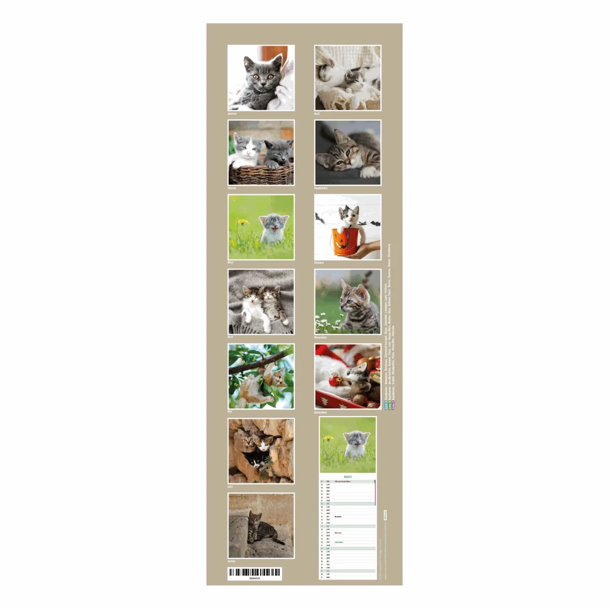 Calendrier long « Chatons » – 2026 – Image 5
