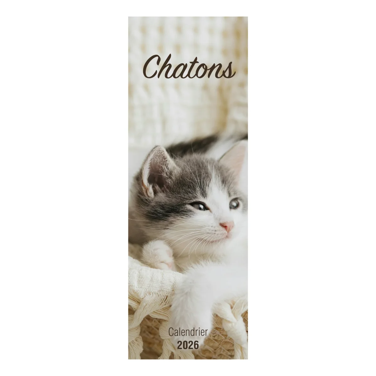 Calendrier long « Chatons » – 2026