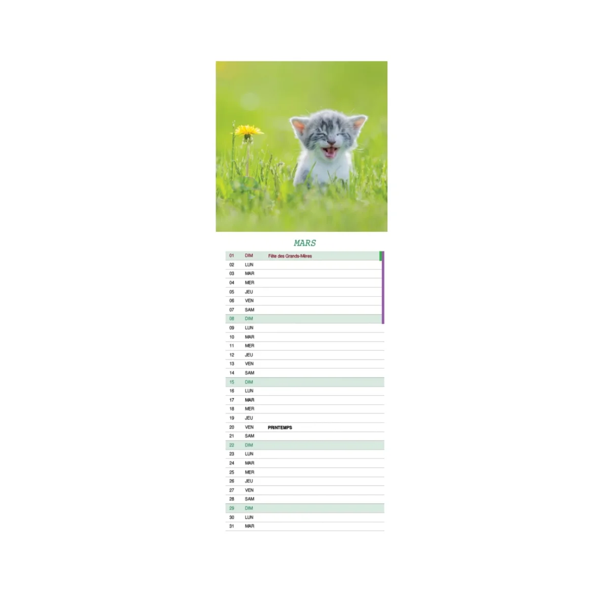 Calendrier long « Chatons » – 2026 – Image 3