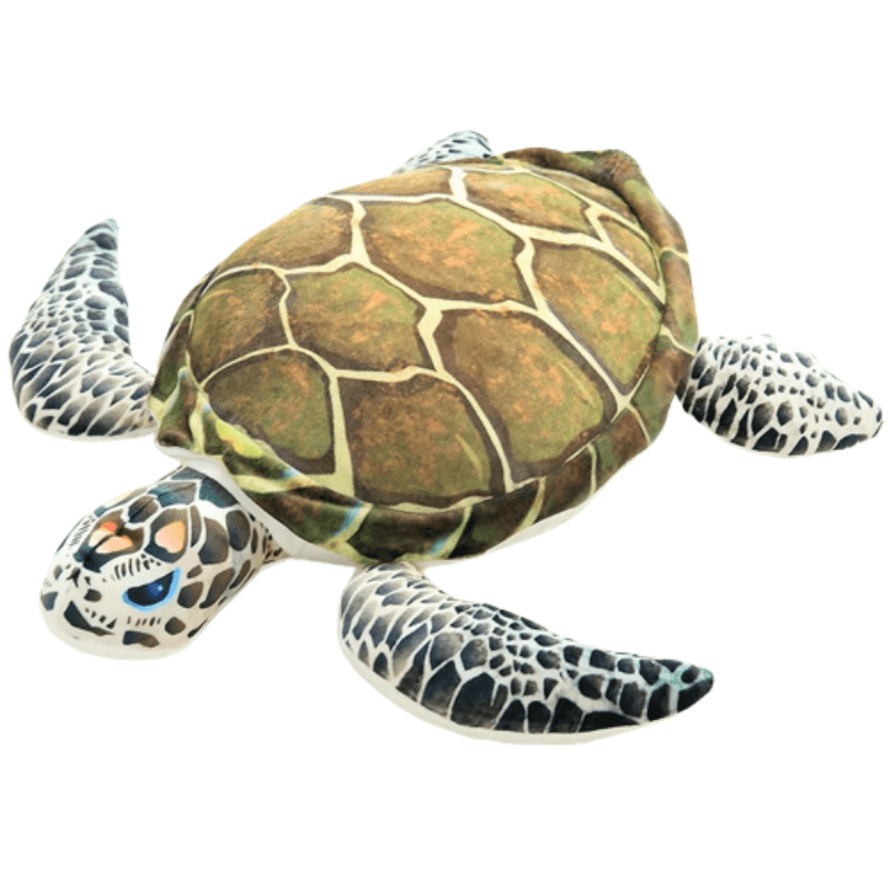 Doudou Tortue – Image 2